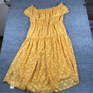 NWT Cider Curve & Plus Lace Strapless Dress